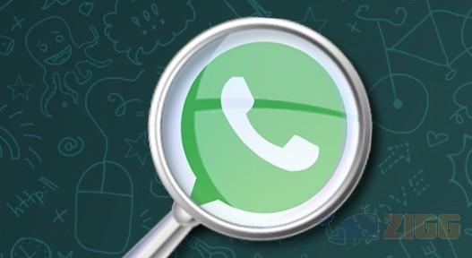 Atualização no WhatsApp permitirá busca em todas as conversas de uma vez