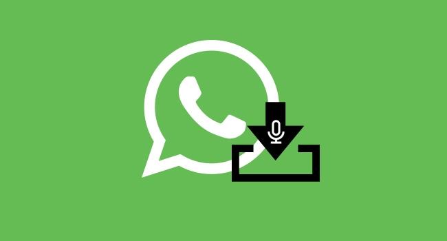 Aprenda a salvar ou deletar os áudios do WhatsApp