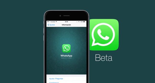 WhatsApp Beta disponibiliza função de encaminhar mensagem para múltiplos contatos
