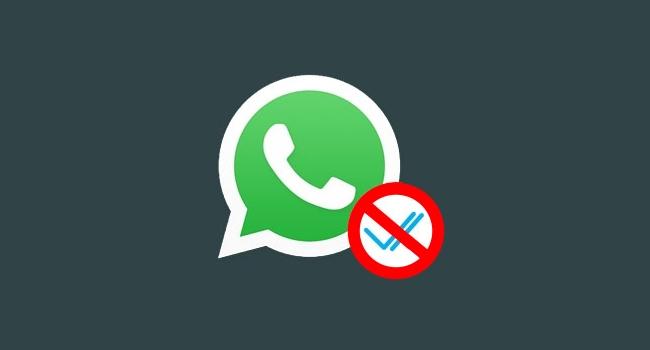 Como ler as mensagens do WhatsApp sem o ‘check’ azul