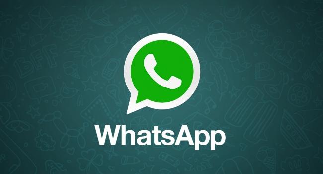 WhatsApp: Atualização facilita envio e busca por GIFs; Veja como fazer