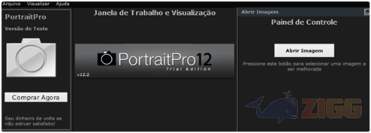 Portrait Professional para Windows