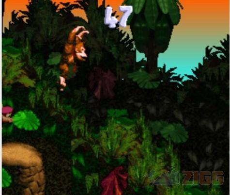 Donkey Kong Country 4: The Kong's Return 