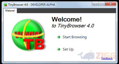 Tiny Browser